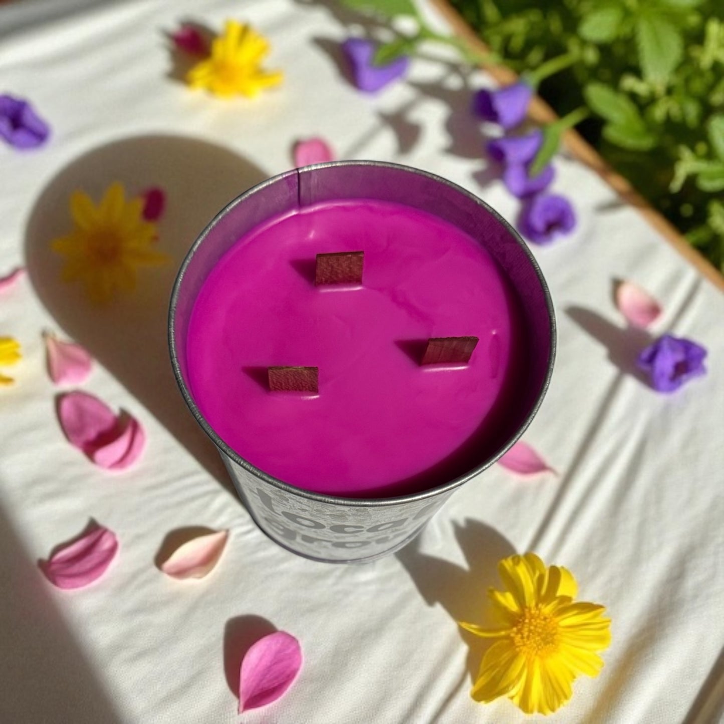 Odor Eliminator Candle 14fl oz Repurposed Tin