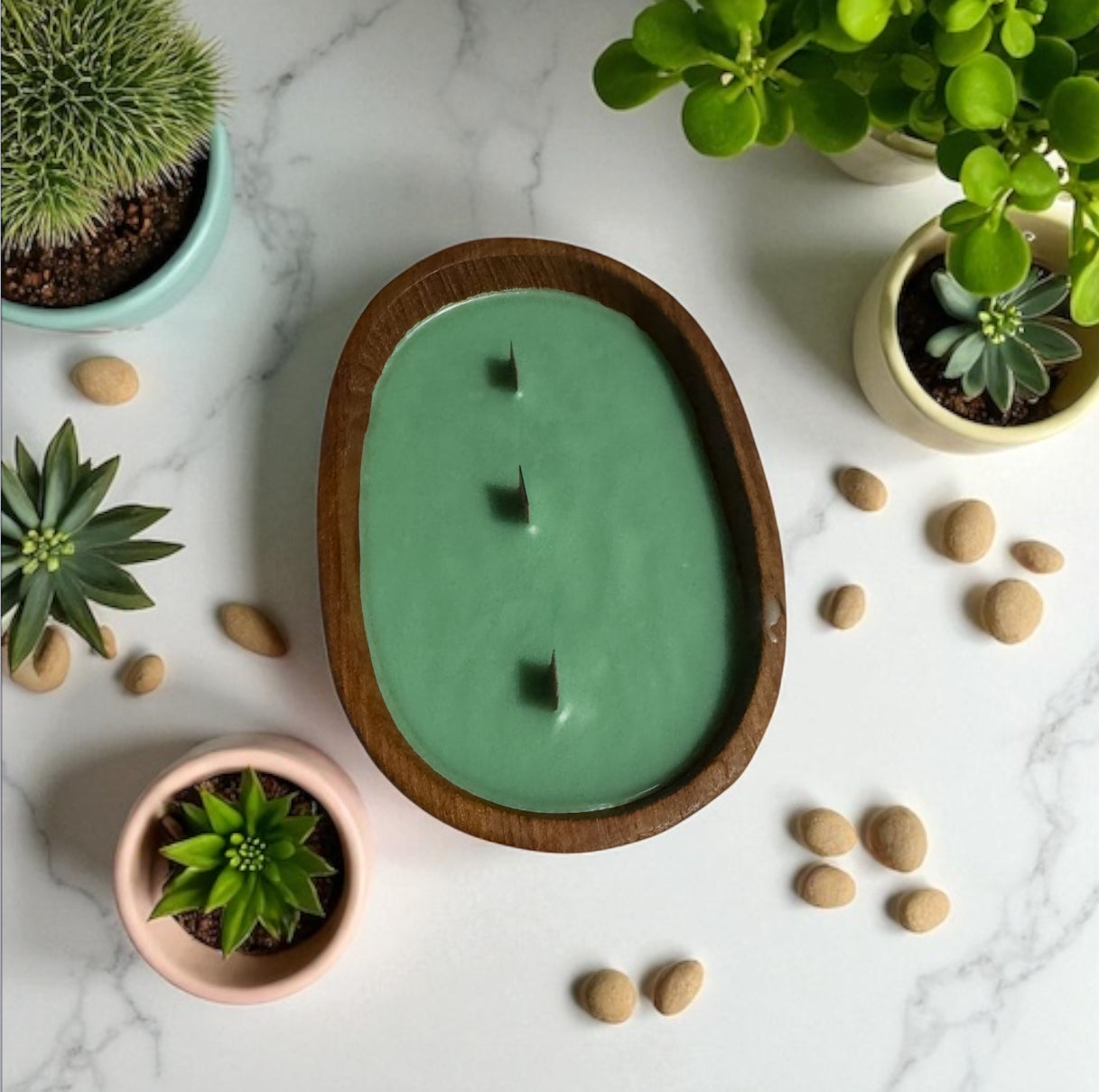 Cactus Flower & Jade Candle 10fl oz Repurposed Wooden Bowl