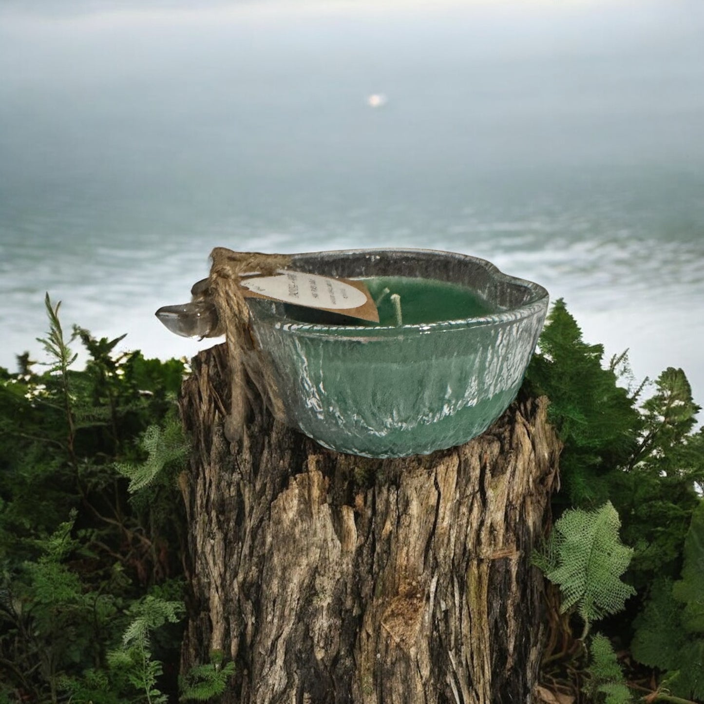 Oakmoss & Amber Repurposed Apple Crystal Candle 12fl oz