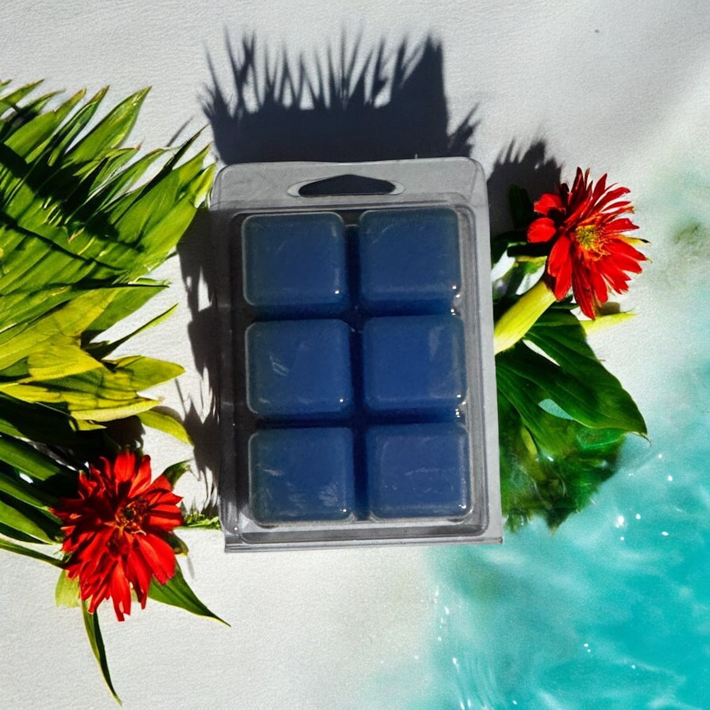 Wax Tarts 6 pack cubes