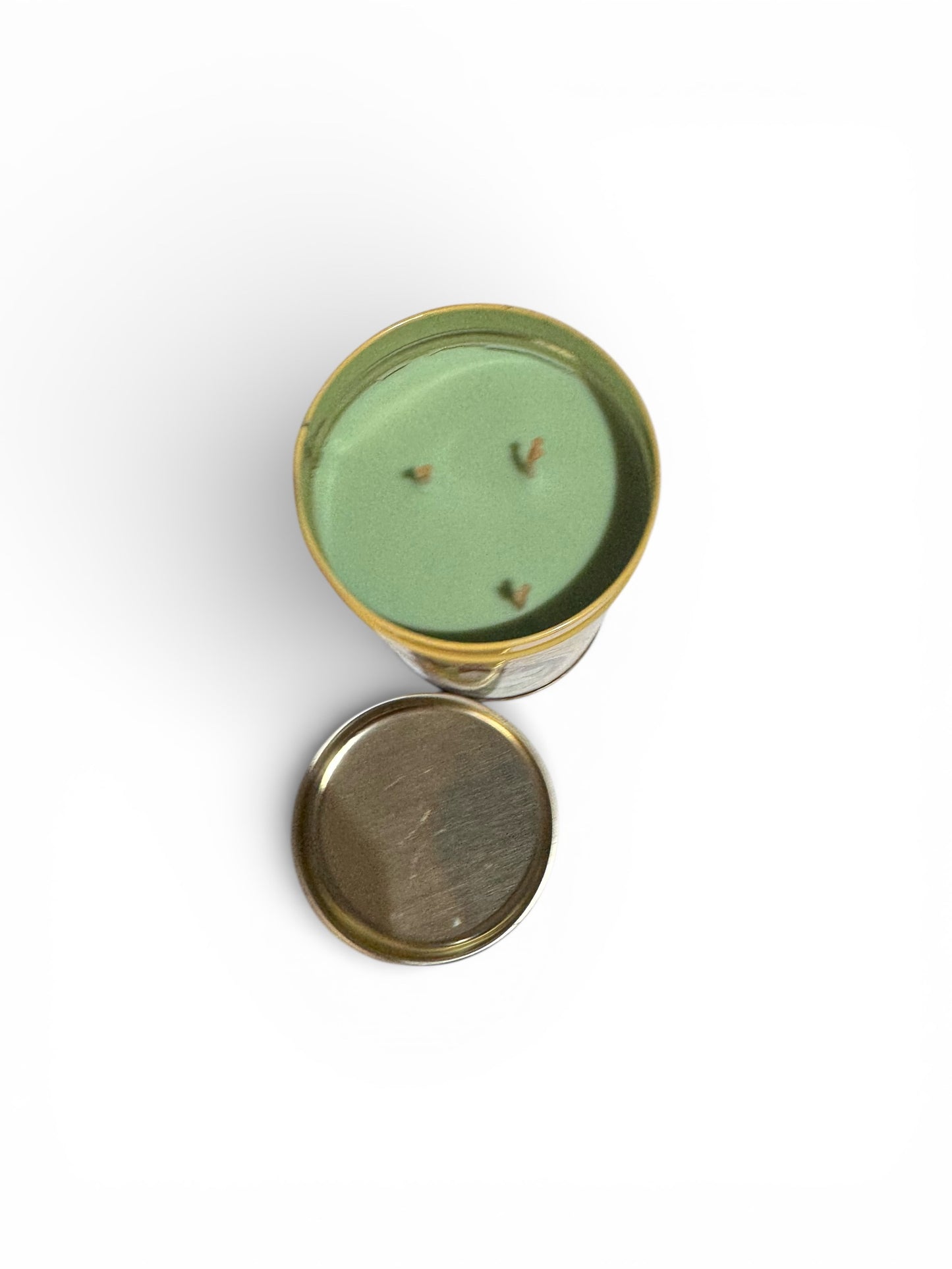 Handmade Cactus Flower & Jade Candle, Repurposed Vintage Floral Tin, 22 fl oz