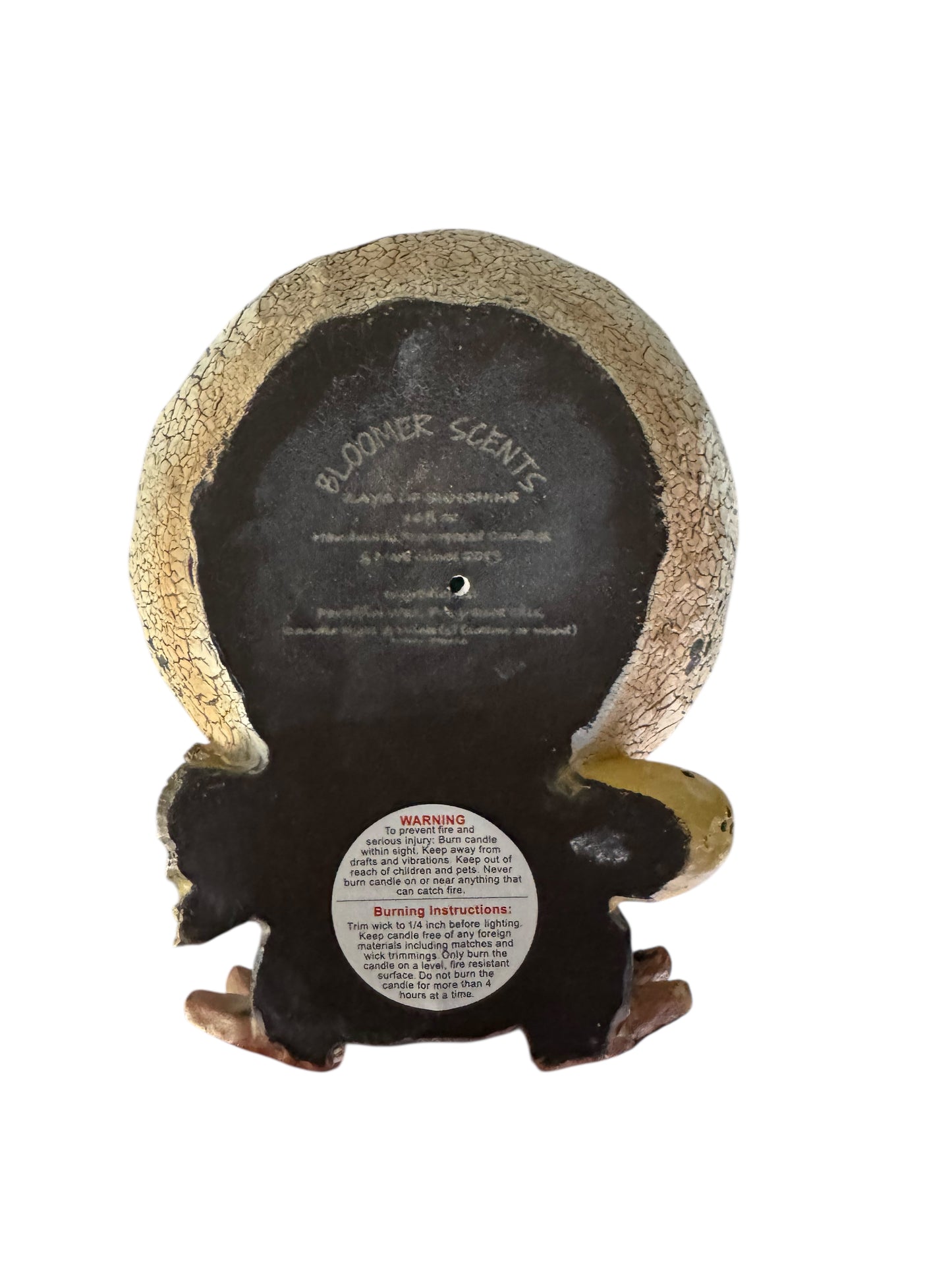 Handmade Candle, Rays of Sunshine, 16 fl oz, Repurposed Vintage Cracked Egg with Chicken Design