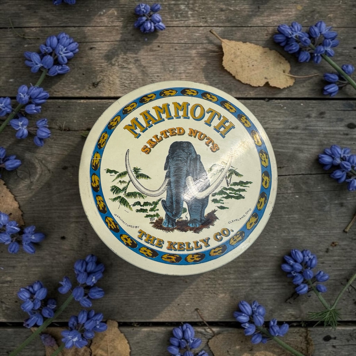 Texas Bluebonnets Handmade Candle in Repurposed Vintage Tin, Multi-Wick, 24 fl oz