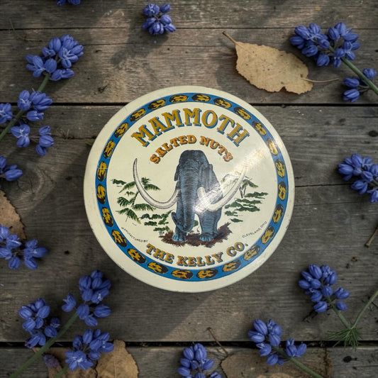 Texas Bluebonnets Handmade Candle in Repurposed Vintage Tin, Multi-Wick, 24 fl oz